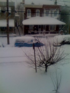 snowy